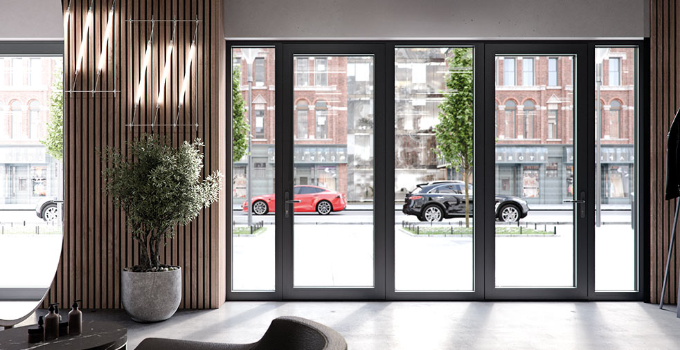 Drzwi aluminiowe do sklepu Miru Evo Door